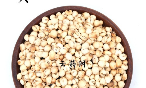 马唐的功效与作用及图片网 - 为你提供马唐草的功效和主治、马唐草的药用价值与应用
